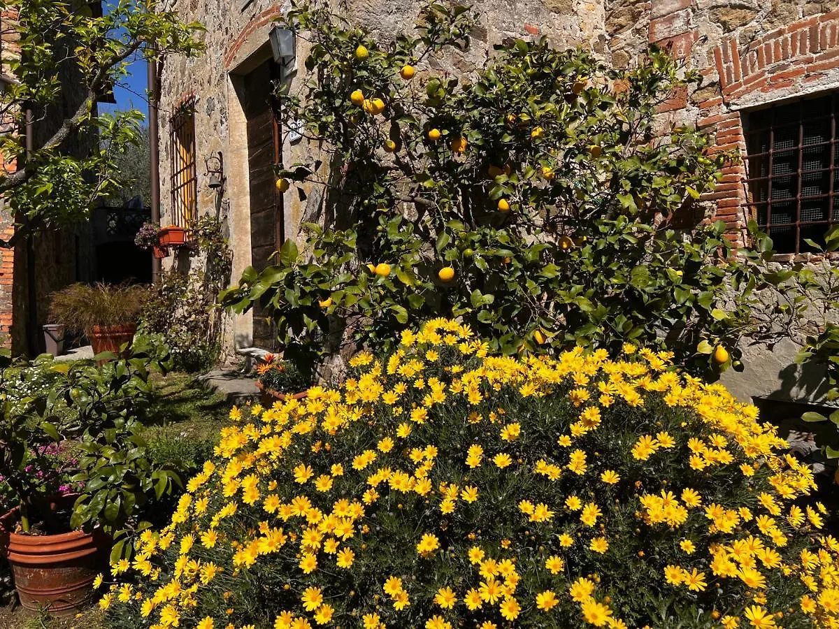 Villa La Casina Dei Frati Lucca